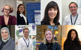BioMerieux webinar series speakers and chairs