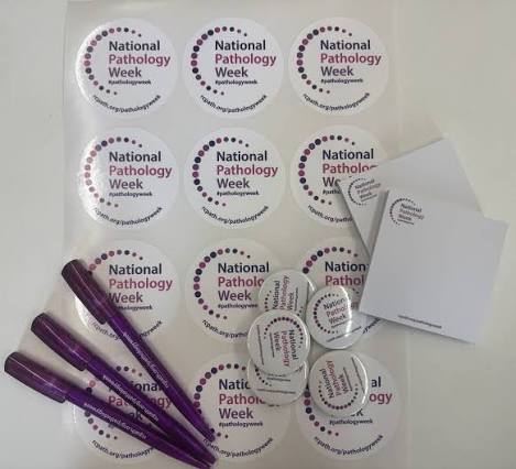 promotional materials.jpg