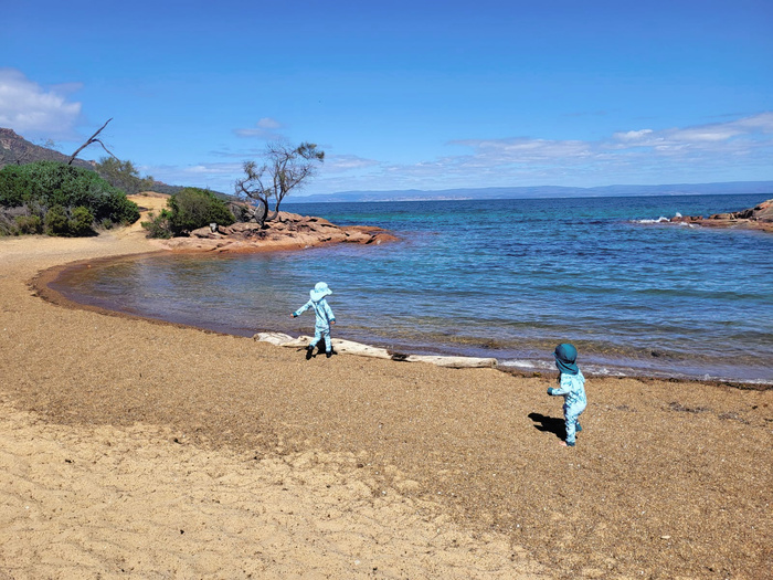 Rebecca Allen Tasmania4.jpg