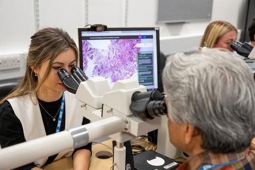 Cellular pathology training_multi-headed microscope