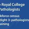 Image of Workforce Census 2025: Pathologists in training