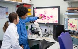 Students looking at vet path slide_digital pathology.jpg