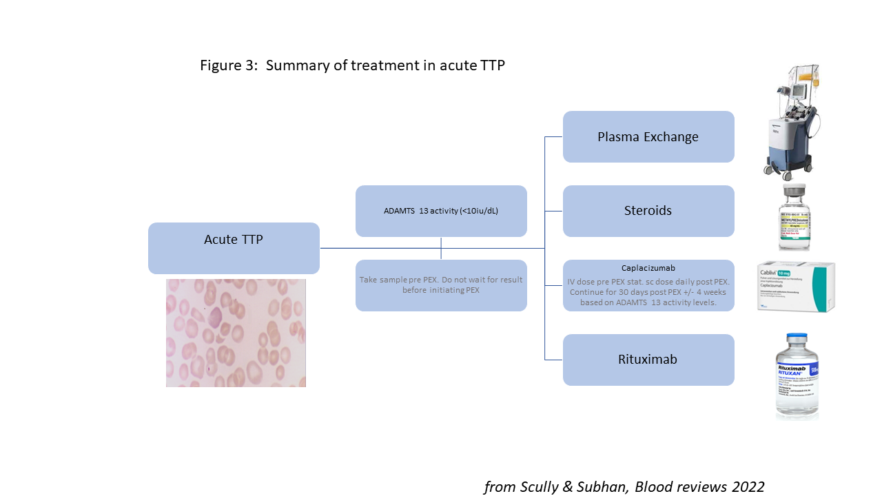 Figure 3:  Summary of treatment in acute TTP.