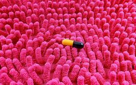 gut-health.jpg