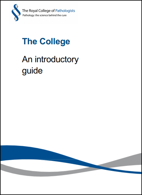 College introductory guide