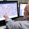 Image of Digital pathology and AI – update and have your say   