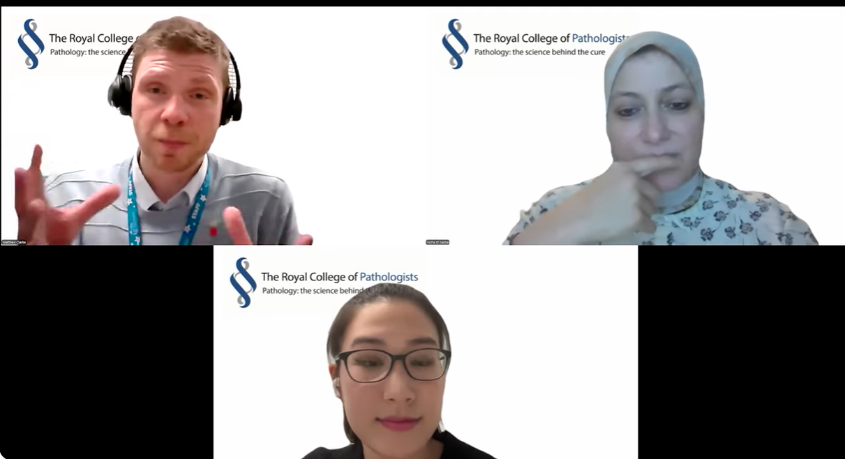 Matt, Noha, Joy careers webinar