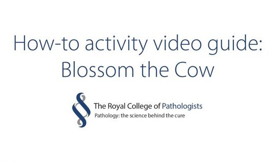 Blossom the Cow activity instructions