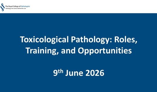 Toxicological Pathology: Roles, Training, and Opportunities
