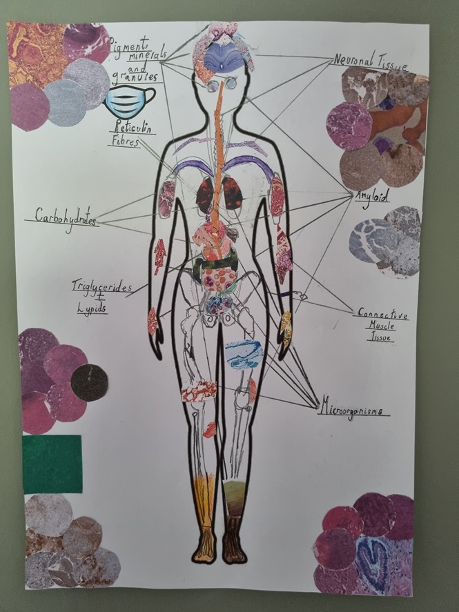 30a. commended Pathology Through The Looking Glass.jpg