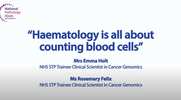 Haematology is all about counting blood cells_thumbnail