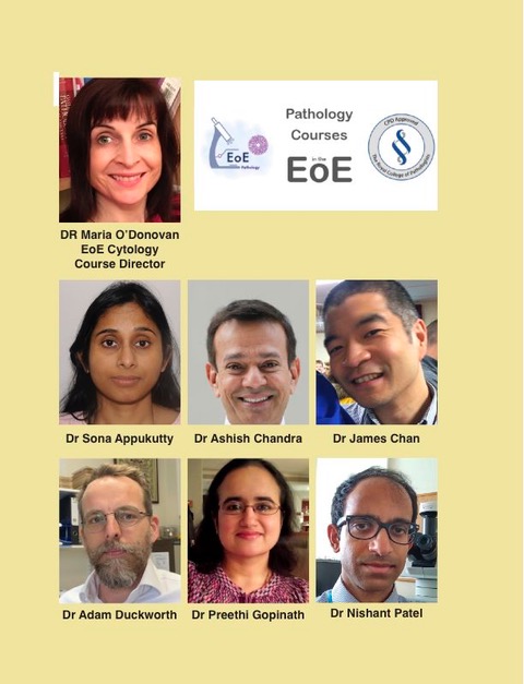 EoE Cytology-Layout 4.jpeg