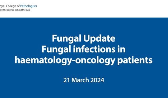  Fungal Update - Fungal infections in haematology-oncology patients webinar