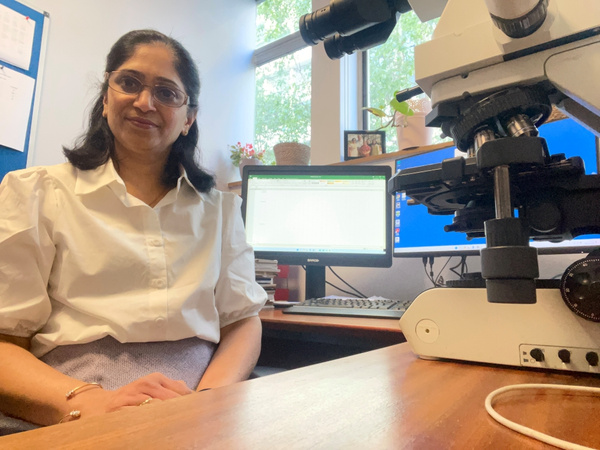 sonal kulkarni work.jpeg