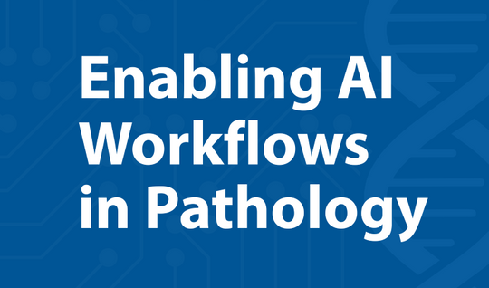 Enabling AI Workflows in Pathology