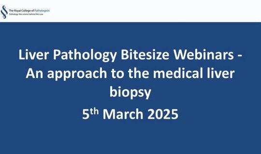 Liver Pathology Bitesize Webinars - An approach to the medical liver biopsy