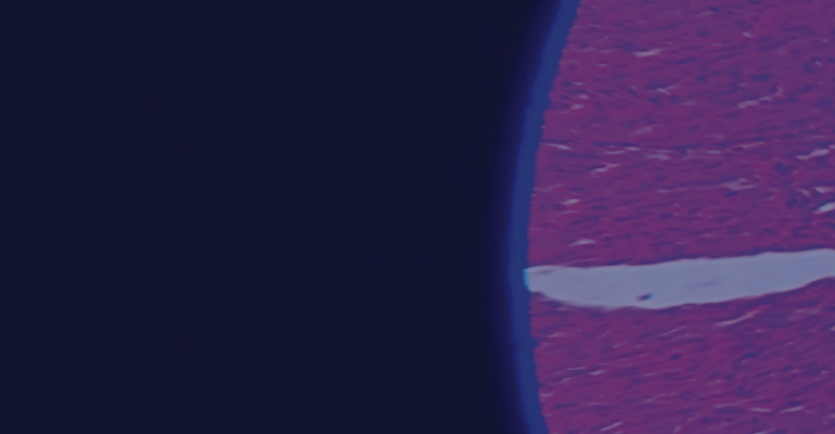 RCPathAA 2026 Banner 1.png