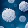 Image of New College report highlights critical consultant shortages across UK immunology services
