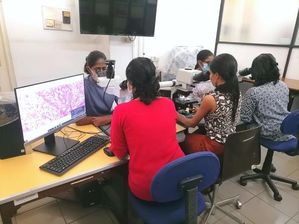 Members of the CeDARC team using the multihead microscopes
