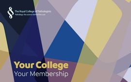 Your College Your Membership brochure thumbnail.jpeg