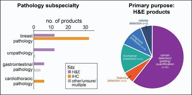 April 26 Bulletin_Darren Treanor_Figure 1.jpg
