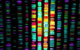 Genome sequencing_resize2.jpg