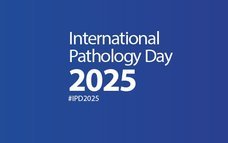 IPD Web Banner 2025_square.jpg
