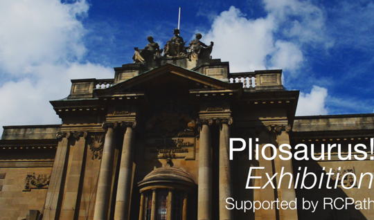 Pliosaurus! Exhibition