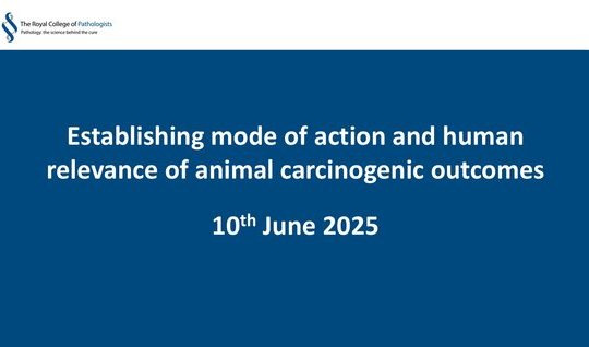 Establishing mode of action and human relevance of animal carcinogenic outcomes