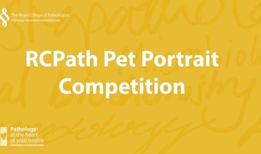 RCPath Pet Portrait Competition 2022