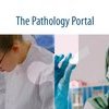 Image of The Pathology Portal – Celebrating 3 years of pathology education 