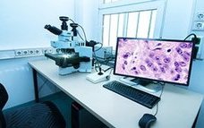 Digital-pathology.jpg