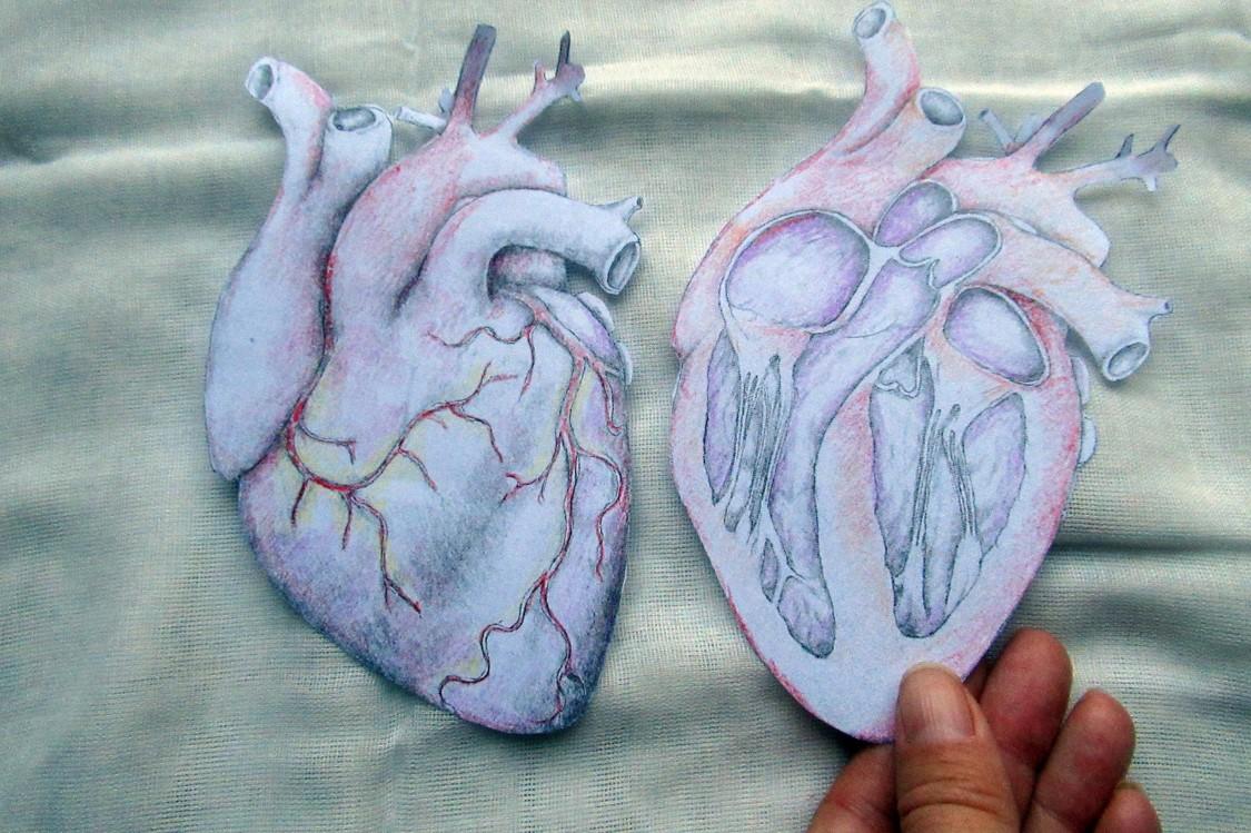 coloured in hearts.jpg
