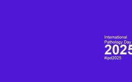 IPD 2025 bland copy.jpg 2