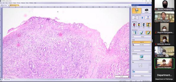 The CeDARC team using zoom to analyse their findings.