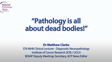 Pathology is all about dead bodies_thumbnail