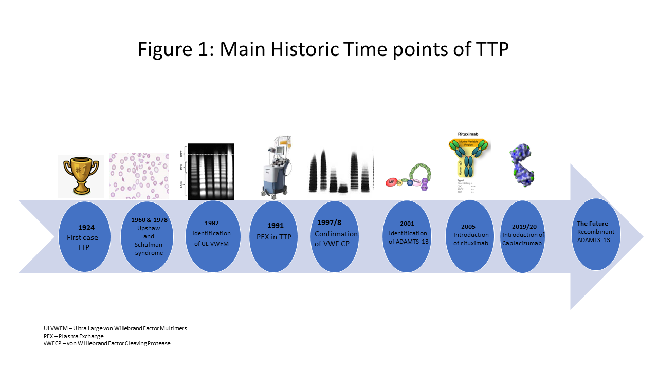 Figure 1. Main historic time points of TTP. PEX: Plasma exchange; ULVWFM: Ultra large von Willebrand factor multimers; VWFCP: von Willebrand factor cleaving protease.