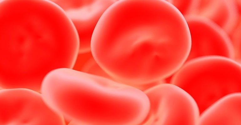 blood_cells_haematology_785x400px.jpg
