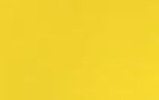 Yellow background from the ARISE logo.JPG