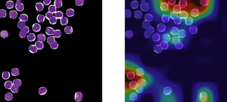 April 24 Bulletin_Sarah Coupland_Figure 2ab.png