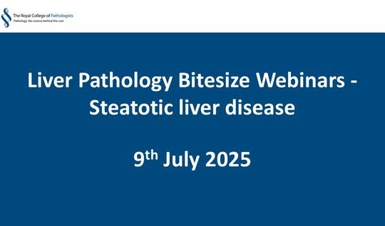  Liver Pathology Bitesize Webinars - Steatotic liver disease