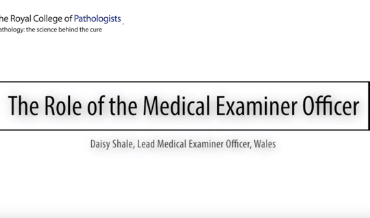 The Role of the Medical Examiner Officer (MEO)