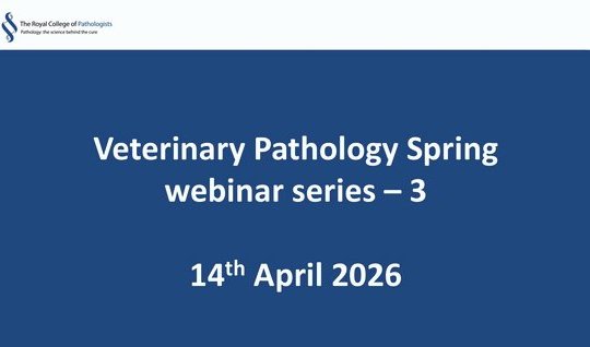 Veterinary Pathology Spring webinar series – 3