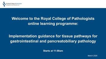 GI webinar March 2025 - Intro slide.JPG