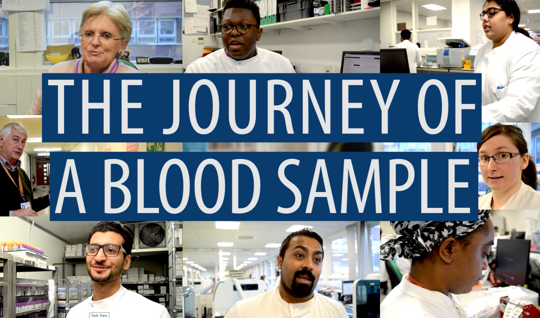 The journey of a blood sample