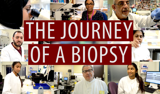 Find out what happens when a biopsy gets sent to a lab