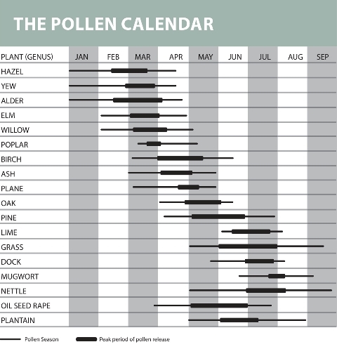 Pollen_Calendar