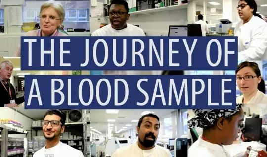 The journey of a blood sample