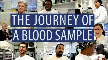 journey of a blood sample thumbnail.webp
