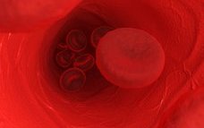 red_blood_cell_haematology_1403x935px.jpg